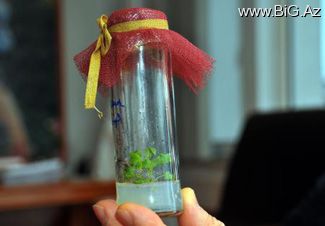 14 fevral - Sevgililər günüdür !