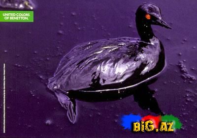 United Colors of Benettondan möhtəşəm reklamlar