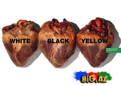 United Colors of Benettondan möhtəşəm reklamlar