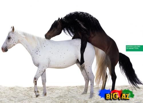 United Colors of Benettondan möhtəşəm reklamlar