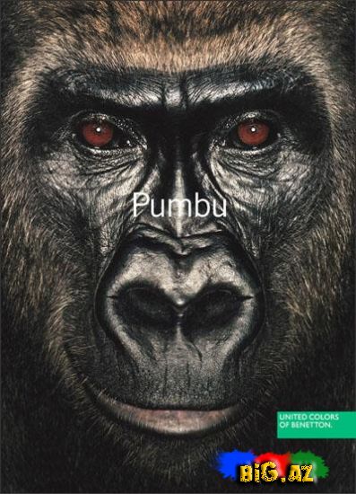 United Colors of Benettondan möhtəşəm reklamlar