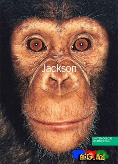 United Colors of Benettondan möhtəşəm reklamlar