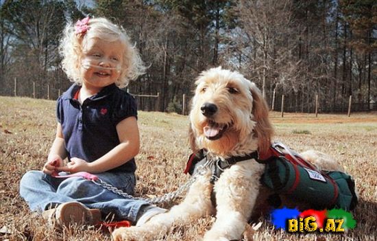 Bu it olmasa o öləcək...