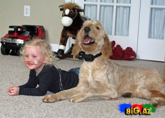 Bu it olmasa o öləcək...