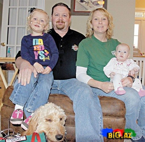 Bu it olmasa o öləcək...