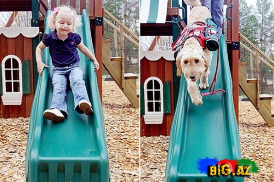 Bu it olmasa o öləcək...