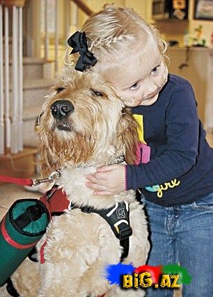 Bu it olmasa o öləcək...