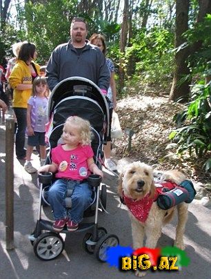 Bu it olmasa o öləcək...