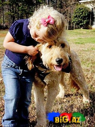 Bu it olmasa o öləcək...