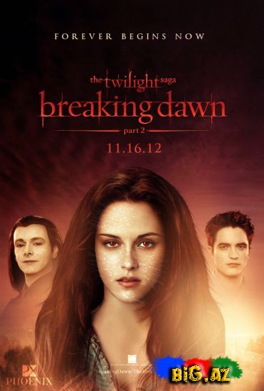 The Twilight saga:Breaking Dawn Part 2