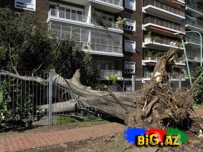 Argentinada baş verən güclü tufan 14 nəfərin həyatına son qoydu (Foto, Video)