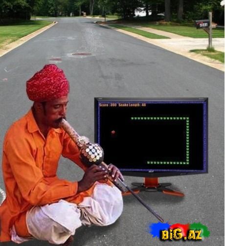 Gülməli şəkillər