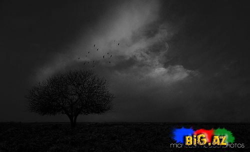 Fotoqraf Michela Medda (Fotolar)