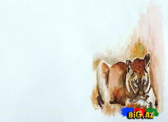 Rəssam - Elşad Əliyev (Elşad Xose) (Fotolar)