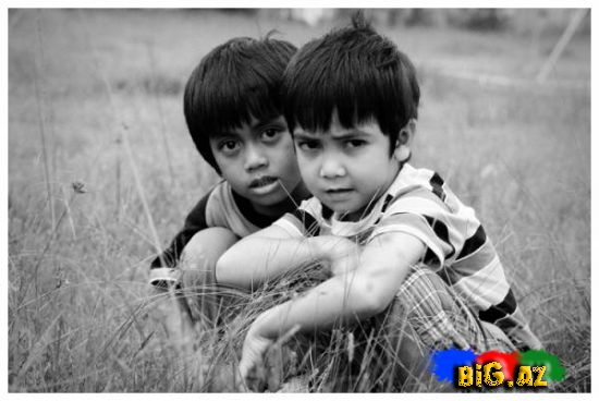 Dostluq haqqında gözəl sözlər