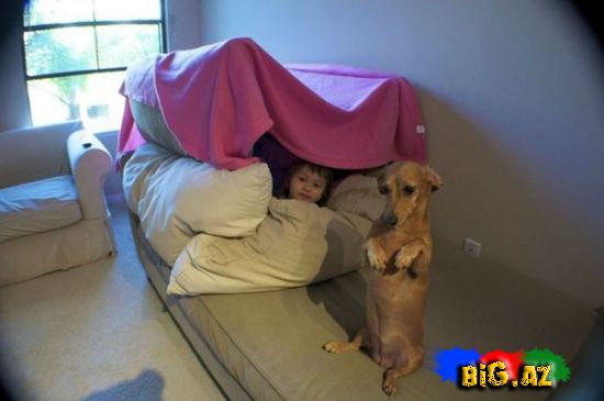 Heyvanlar qəribə görünümdə (Fotolar)