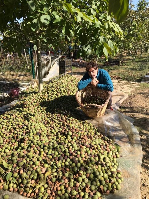 Şan-şöhrəti atıb qoz istehsalçısı oldu: Burak Hakkının kənd həyatı