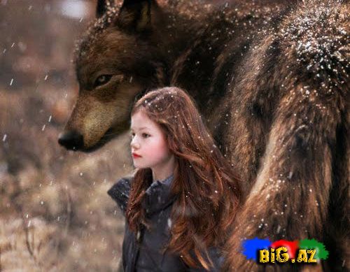 The Twilight Saga Breaking Dawn part 2 (II hissə) (Foto, Video)