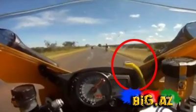 250 km sürətlə gedən motosiklda ilan qorxusu (Video)