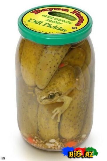 Maraqlı və gülməli şəkillər 6 (Fotolar)