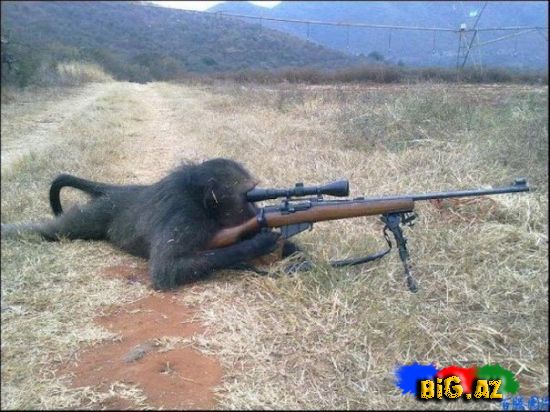 Maraqlı və gülməli şəkillər 6 (Fotolar)