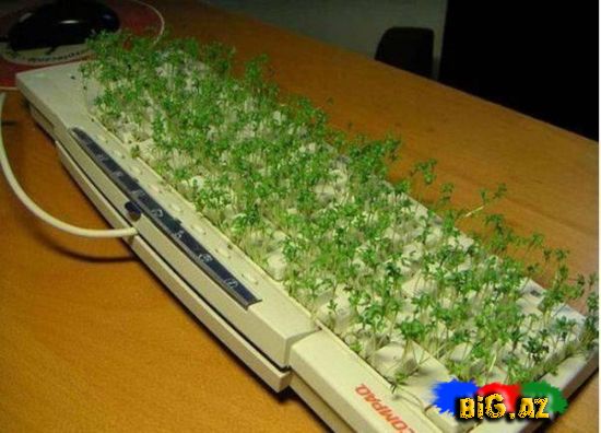 Maraqlı və gülməli şəkillər 6 (Fotolar)