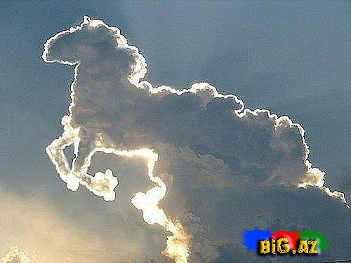 Maraqlı və gülməli şəkillər 6 (Fotolar)