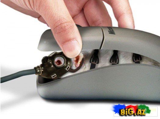 Maraqlı və gülməli şəkillər 6 (Fotolar)