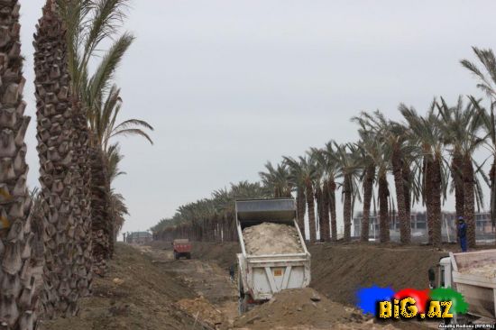 Məşhur milyarderdən Azərbaycan