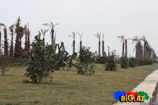 Məşhur milyarderdən Azərbaycan