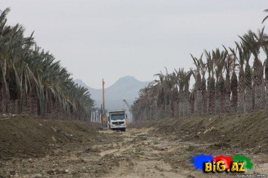 Məşhur milyarderdən Azərbaycan