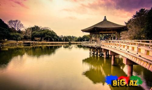Dünyanın ən gözəl və məşhur çin bağları (Fotolar)