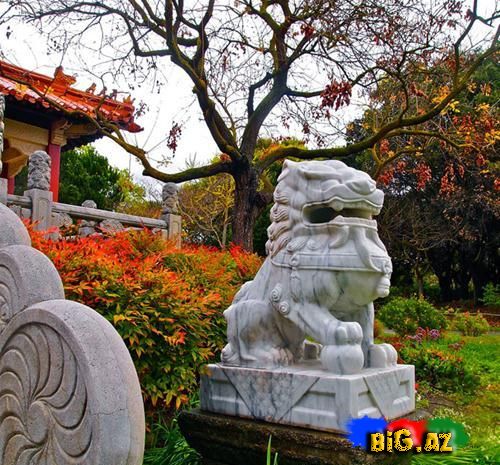 Dünyanın ən gözəl və məşhur çin bağları (Fotolar)