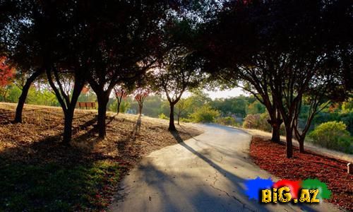 Dünyanın ən gözəl və məşhur çin bağları (Fotolar)