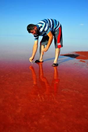 Duz gölü qızıl rəngə boyandı (Foto)