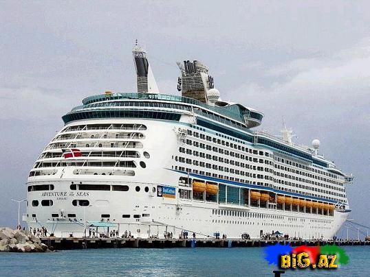 Dünyanın ən böyük gəmisi