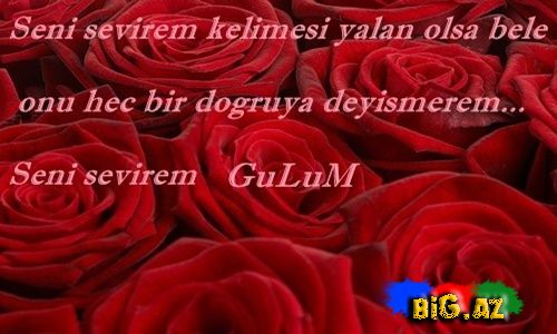 Gülüm (Yazılı şəkillər)