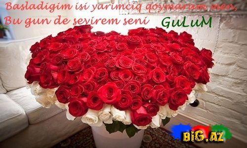 Gülüm (Yazılı şəkillər)