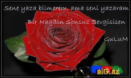 Gülüm (Yazılı şəkillər)