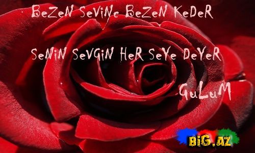 Gülüm (Yazılı şəkillər)