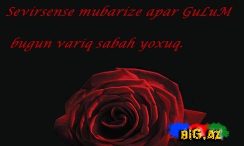 Gülüm (Yazılı şəkillər)