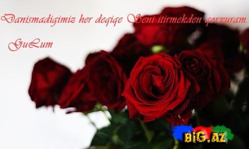 Gülüm (Yazılı şəkillər)