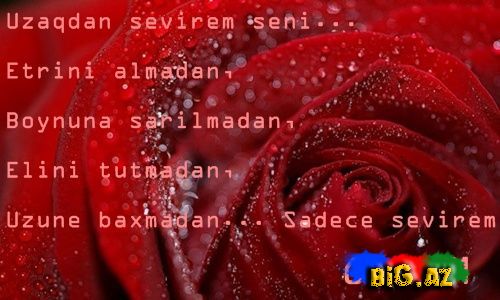 Gülüm (Yazılı şəkillər)