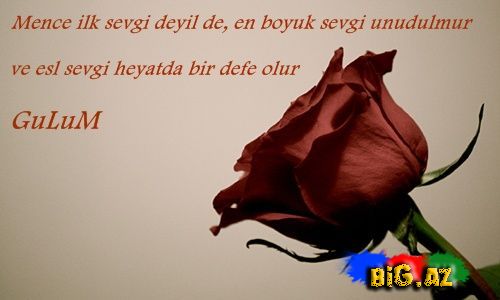 Gülüm (Yazılı şəkillər)