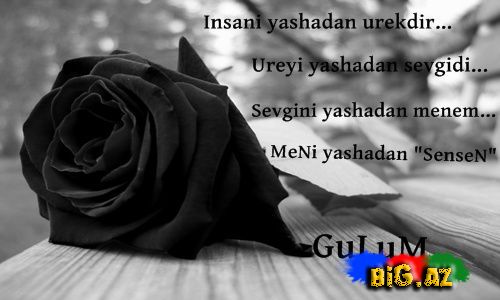 Gülüm (Yazılı şəkillər)