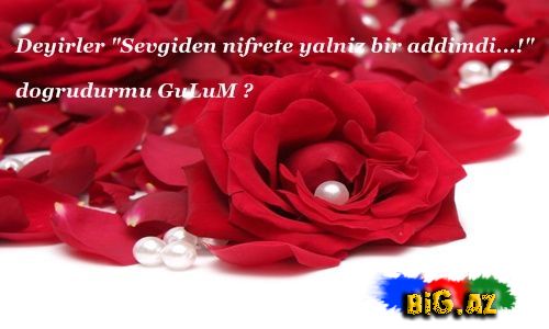 Gülüm (Yazılı şəkillər)