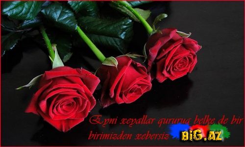 Gülüm (Yazılı şəkillər)