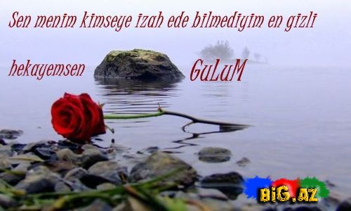 Gülüm (Yazılı şəkillər)