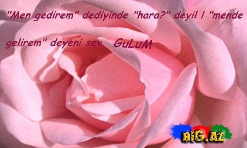 Gülüm (Yazılı şəkillər)