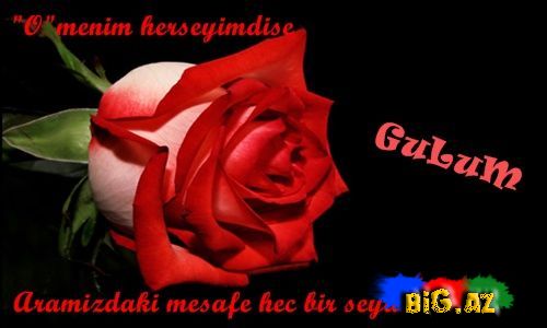 Gülüm (Yazılı şəkillər)